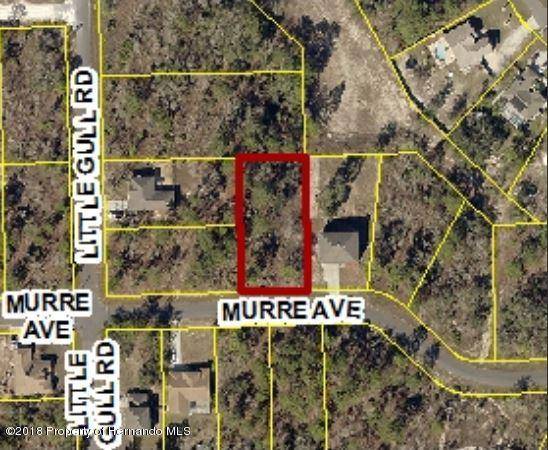 Weeki Wachee, FL 34614,0 Murre Avenue