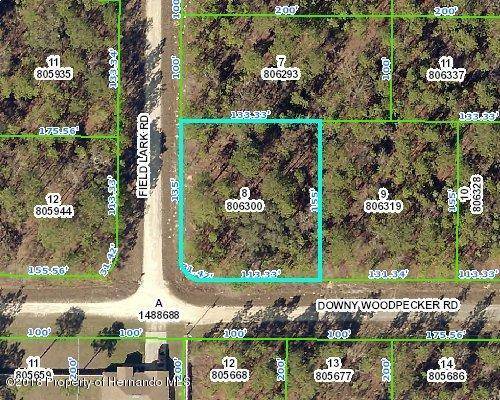 Weeki Wachee, FL 34614,16050 Field Lark Road