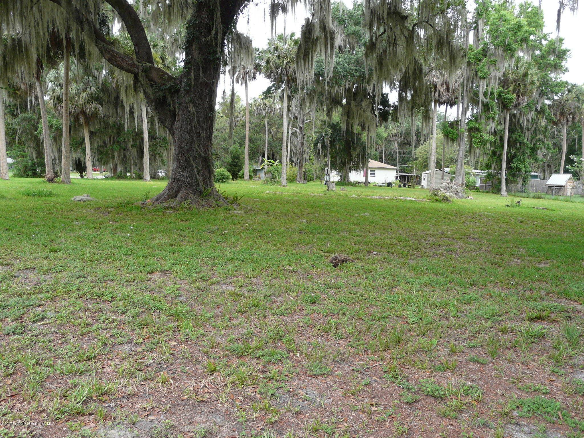 Lake Panasoffkee, FL 33538,2140 Co Rd 412