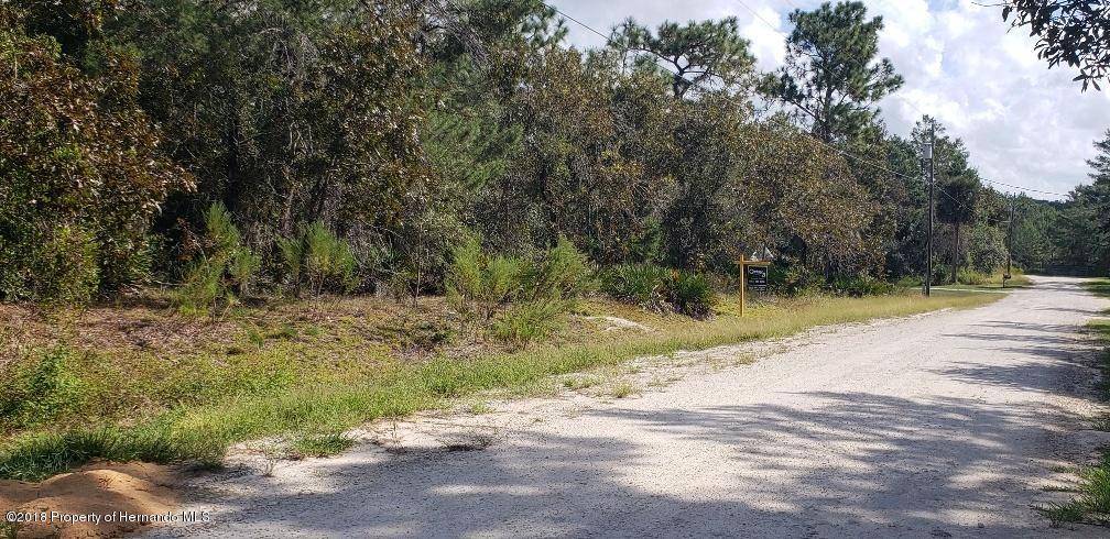 Weeki Wachee, FL 34614,00 Limpkin Road