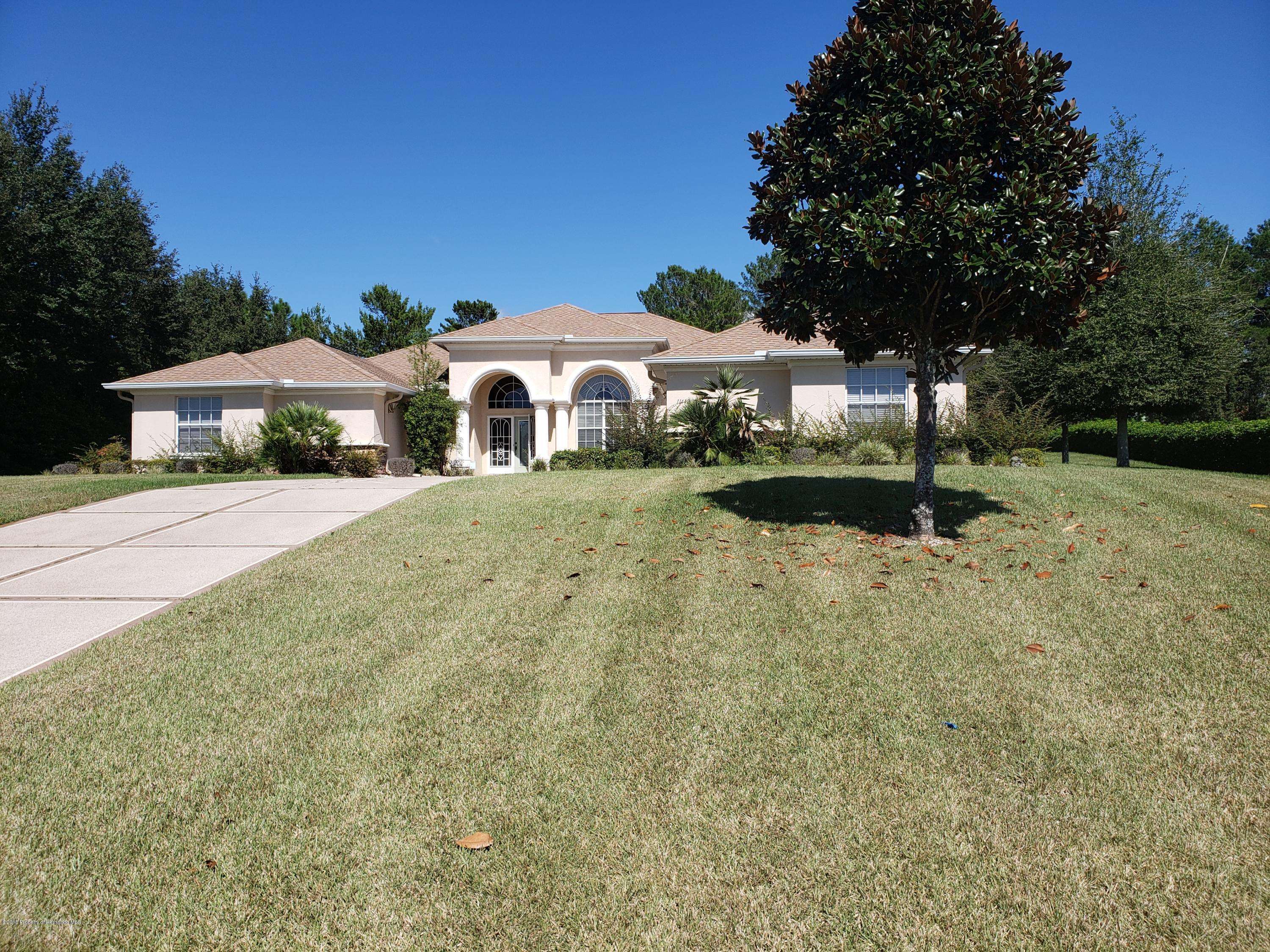 Weeki Wachee, FL 34613,11442 Warm Wind Way