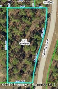 Brooksville, FL 34609,0 Jumper Loop (Divine Lot 1)