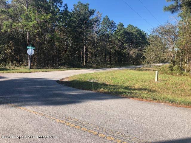 Brooksville, FL 34609,0 Jumper Loop (Divine Lot 3)