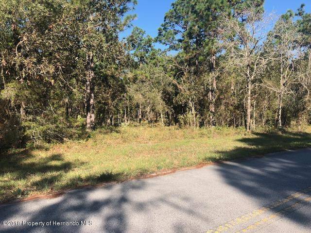 Brooksville, FL 34609,0 Jumper Loop (Divine Lot 9)