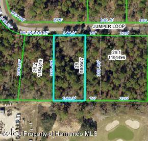 Brooksville, FL 34609,0 Jumper Loop (Divine Lot 11)