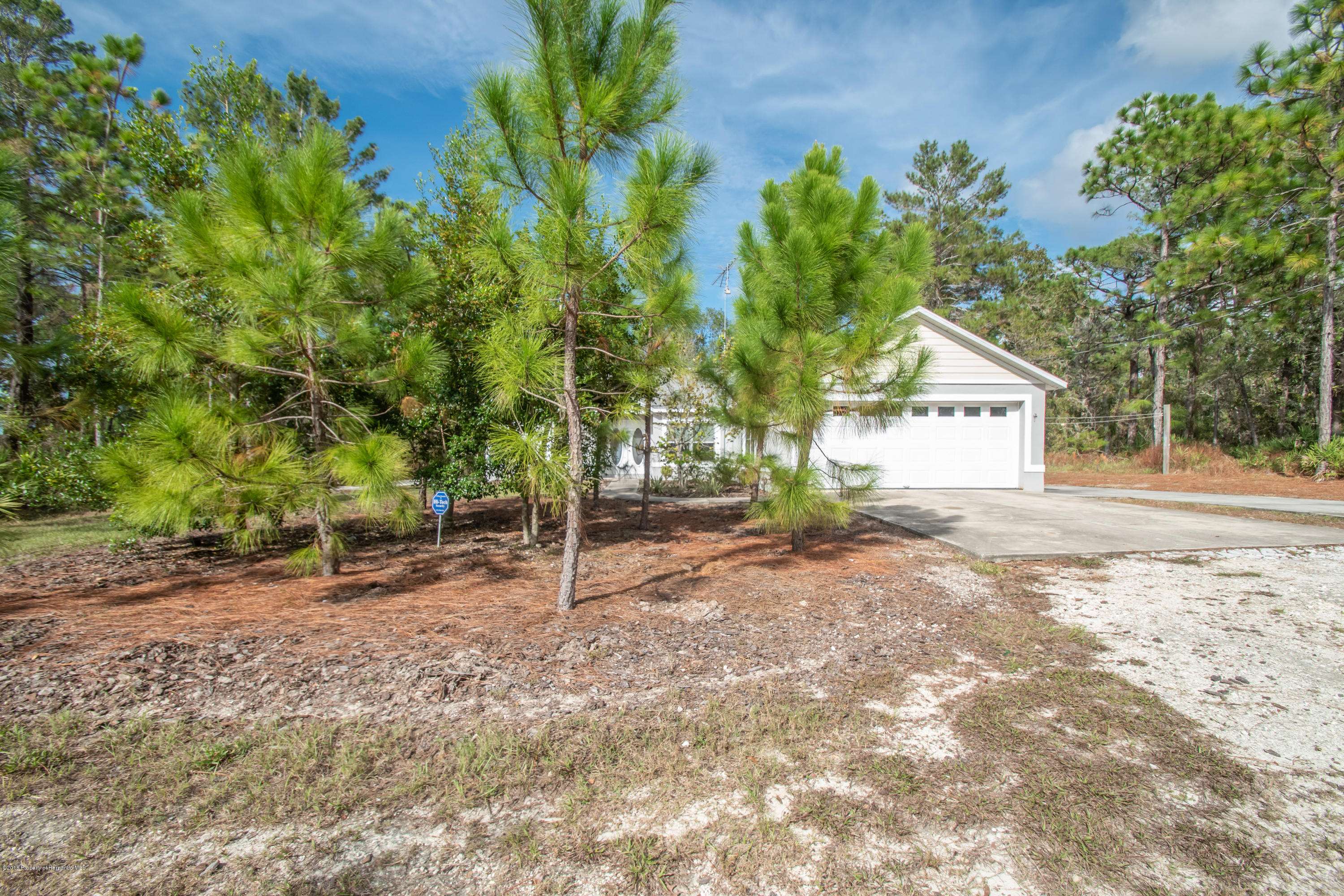 Weeki Wachee, FL 34613,8967 Carrie Way