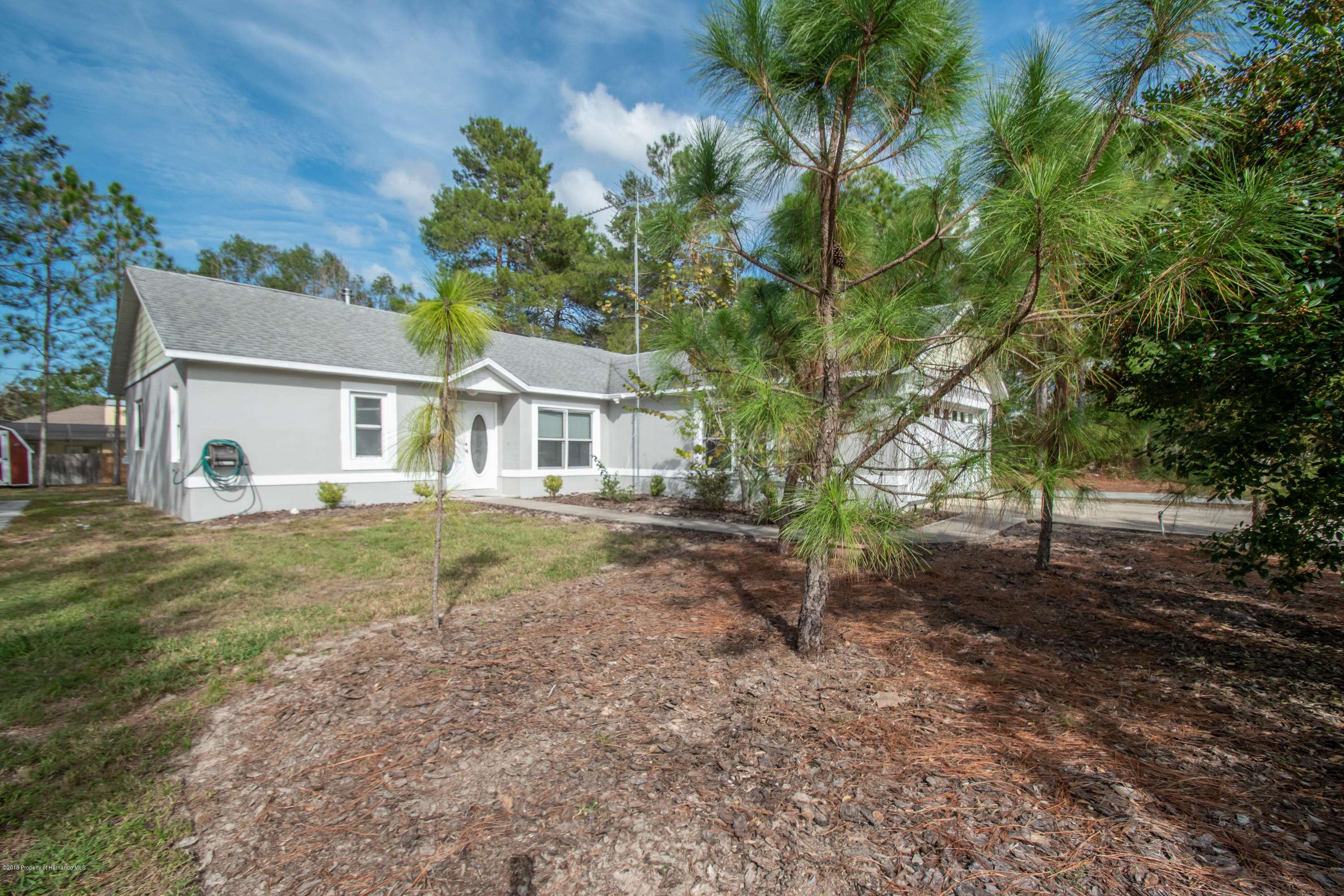 Weeki Wachee, FL 34613,8967 Carrie Way