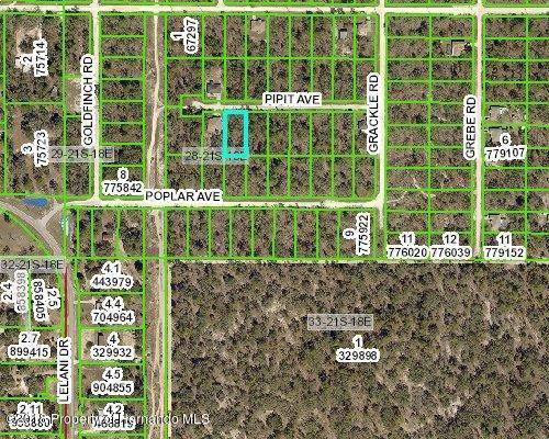 Weeki Wachee, FL 34614,00 Pipit Avenue