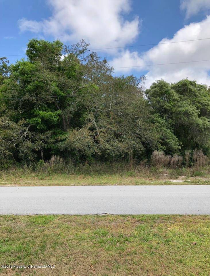 Spring Hill, FL 34606,Lot 26 Leafy Way Avenue