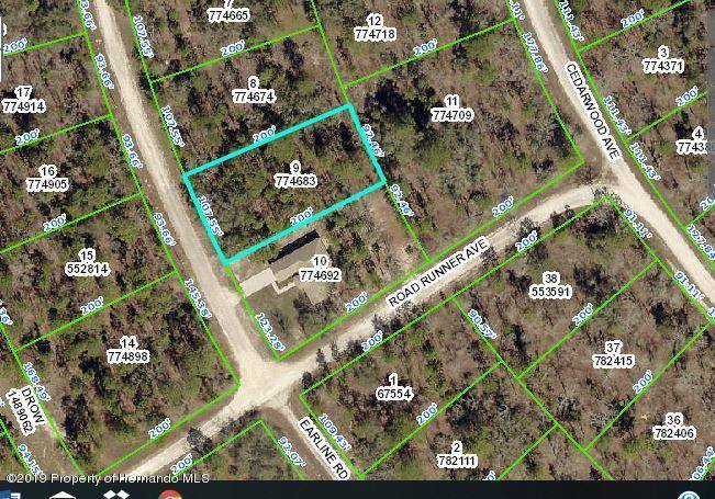 Weeki Wachee, FL 34614,14346 EARLINE Road