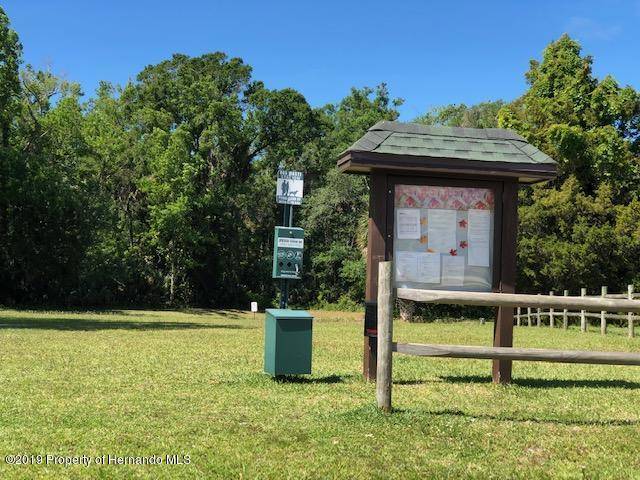 Hudson, FL 34667,10167 Briar Circle