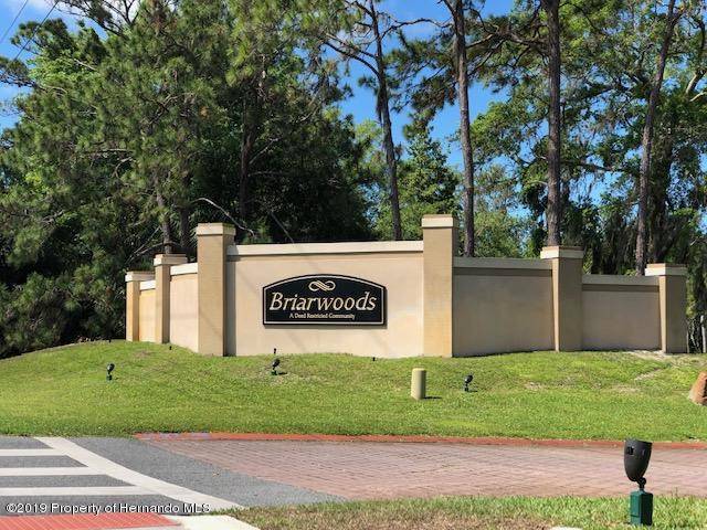 Hudson, FL 34667,10167 Briar Circle