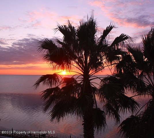 Hernando Beach, FL 34607,3114 Gulf Winds Circle