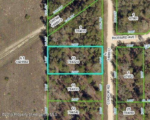 Weeki Wachee, FL 34614,0 Condor Road