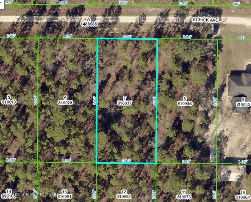 Weeki Wachee, FL 34614,13382 Schick Avenue