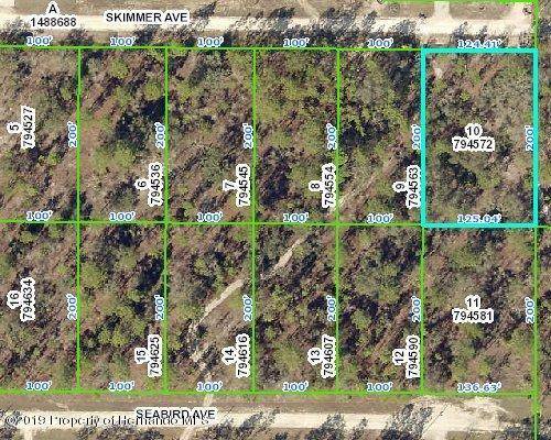 Weeki Wachee, FL 34614,0 Skimmer Avenue #Lot 10