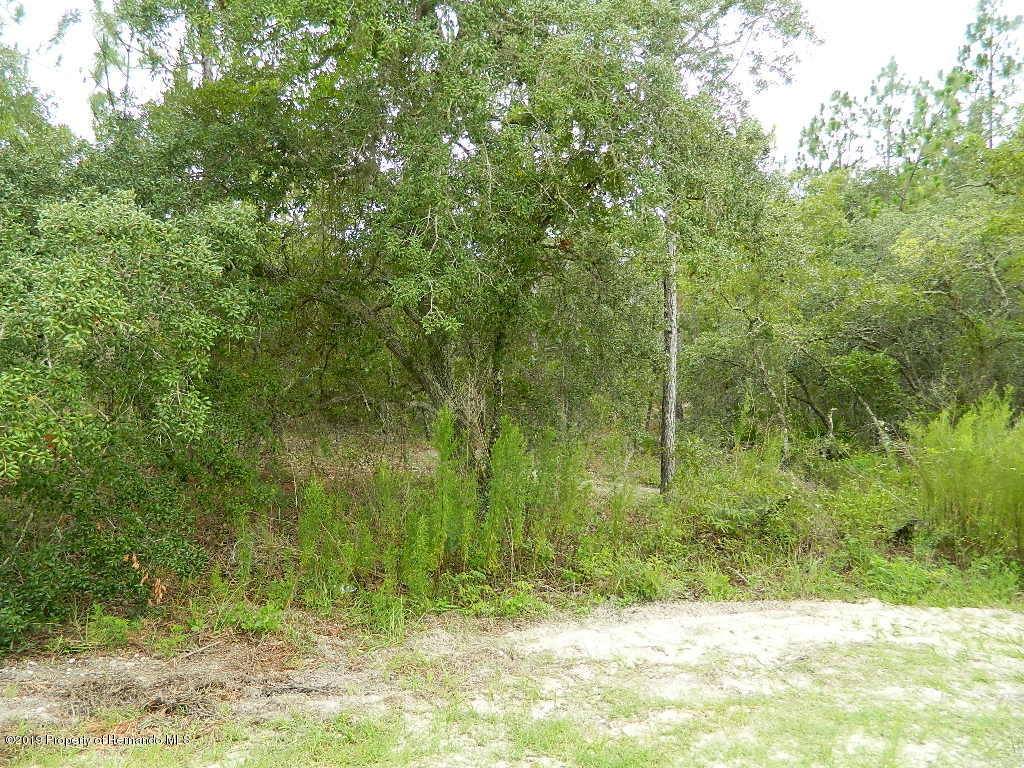 Weeki Wachee, FL 34614,0 Skimmer Avenue #Lot 10