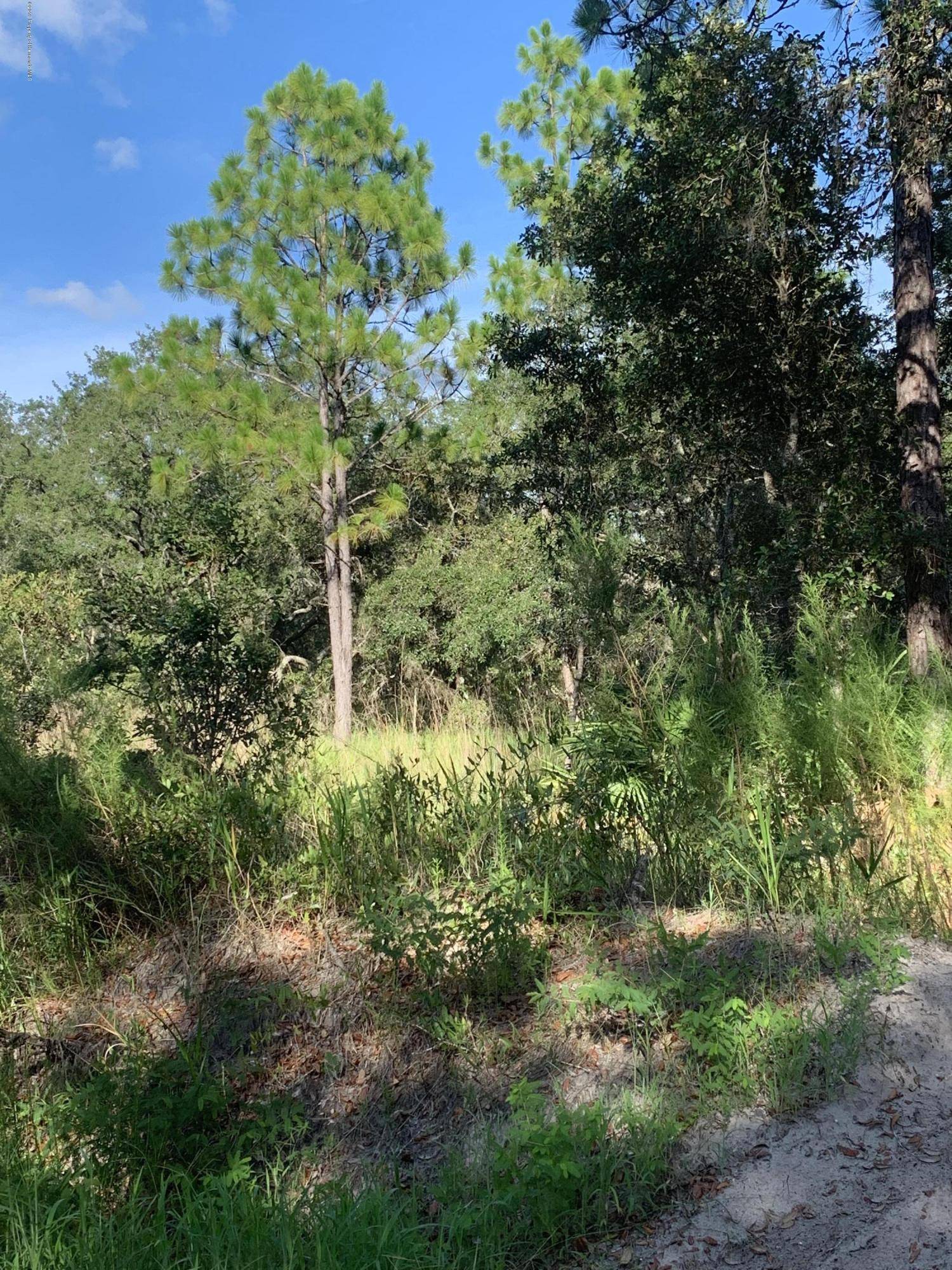 Hudson, FL 34667,0 Coyote Road