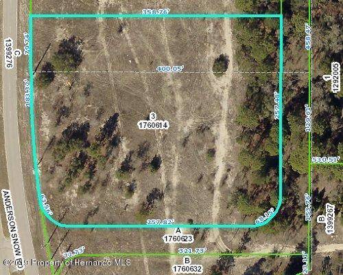 Spring Hill, FL 34609,00 Anderson Snow Road