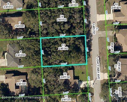 Spring Hill, FL 34606,0 Leafy Way Avenue #Lot #13