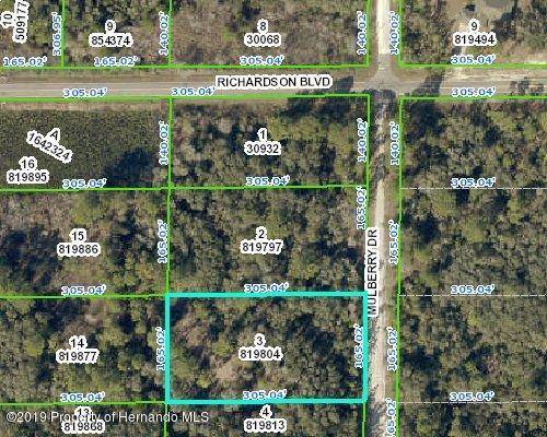 Webster, FL 33597,lot3 Mulberry Drive