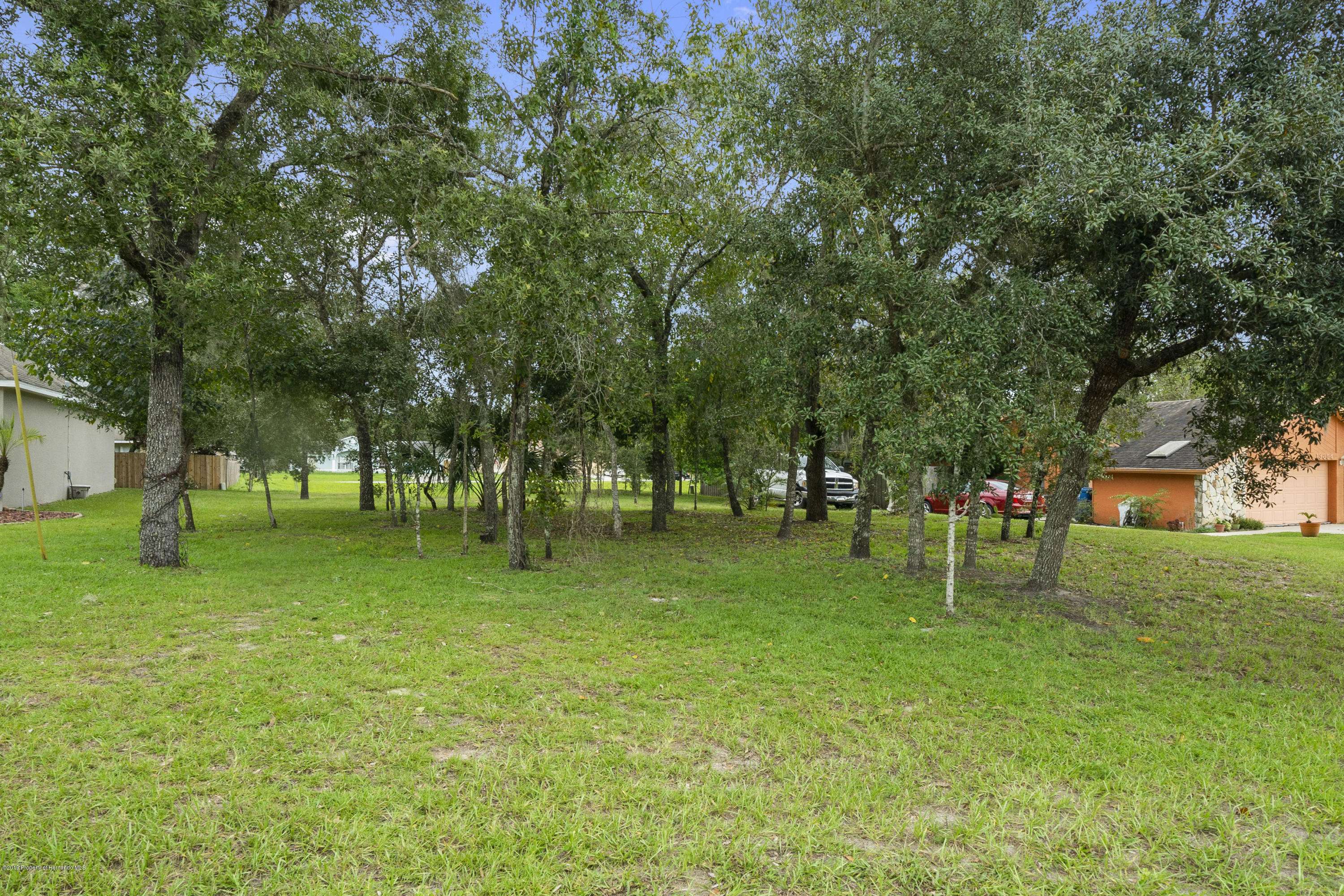 Spring Hill, FL 34609,13862 Coronado Drive