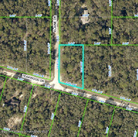 Webster, FL 33597,0 ELAINE Drive