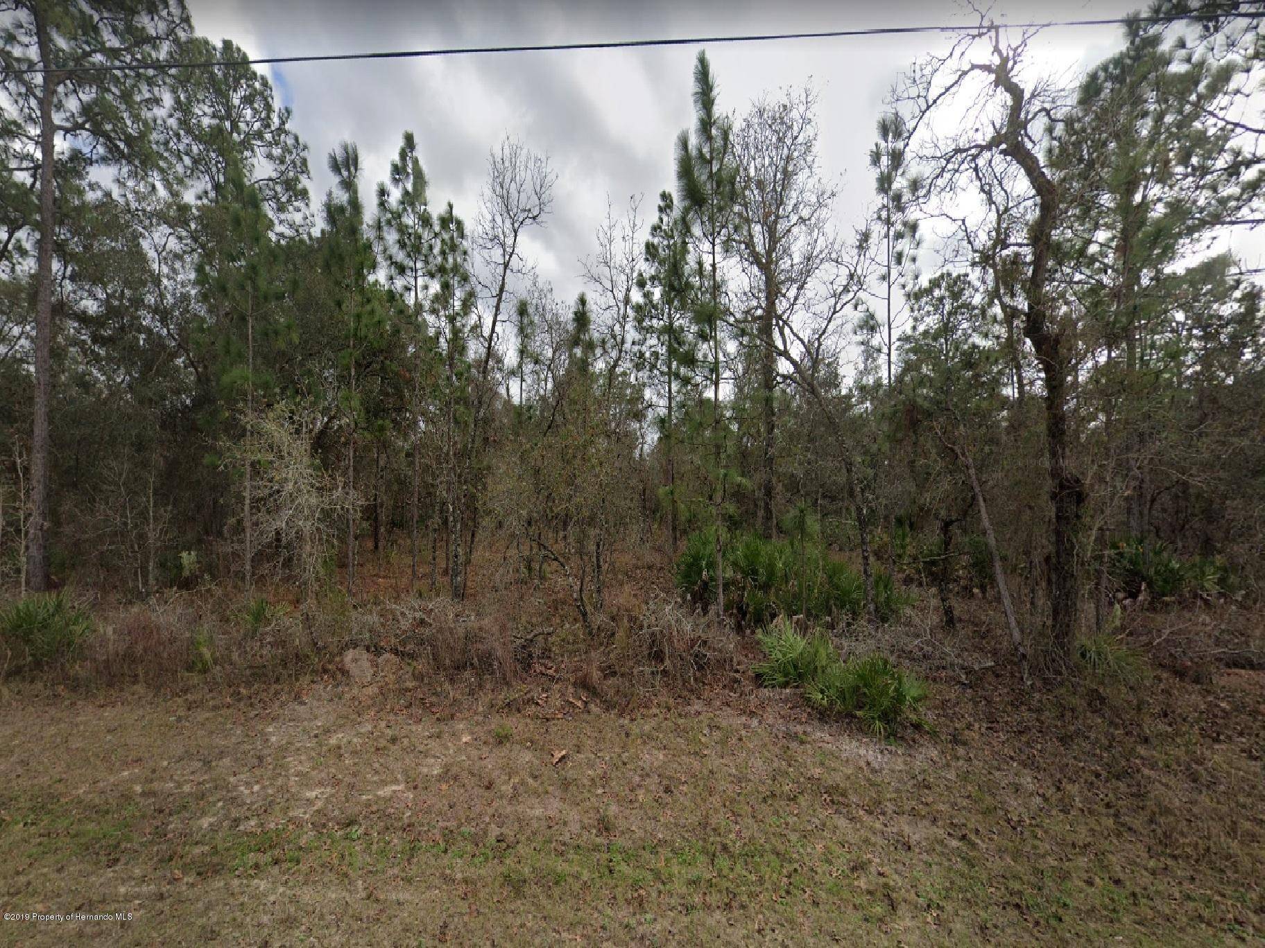 Weeki Wachee, FL 34614,0 Sage Thrasher Avenue