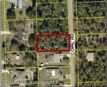 Weeki Wachee, FL 34613,0 Owl Road #Lot 12