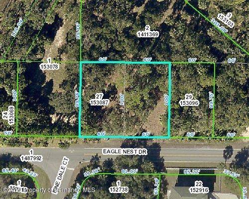 Hernando Beach, FL 34607,4051 Eagle Nest Drive