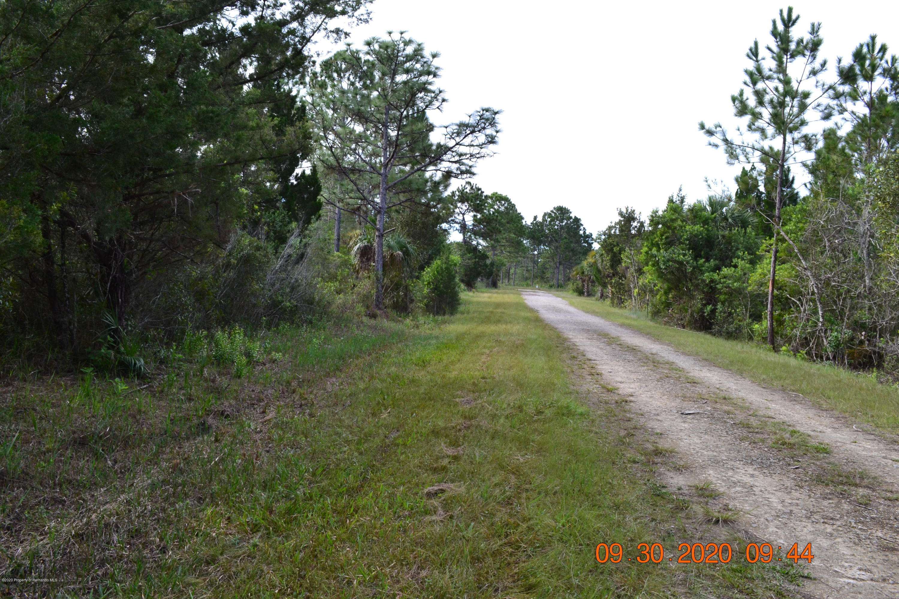 Weeki Wachee, FL 34614,0 QUINTON Road