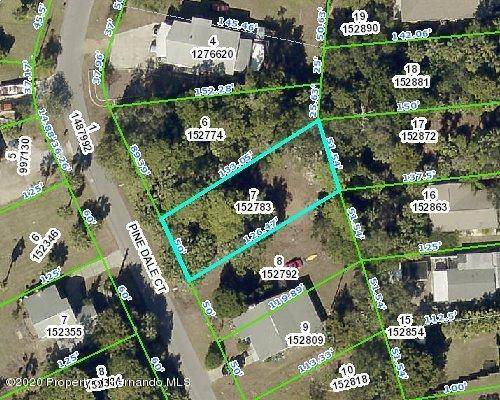 Hernando Beach, FL 34607,0 Pine Dale Court