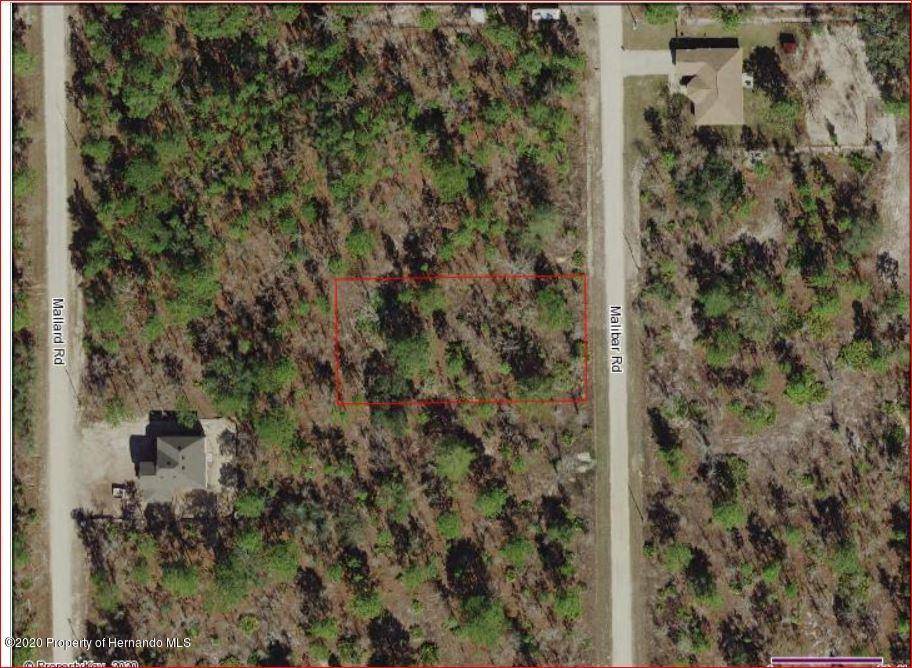 Weeki Wachee, FL 34614,18089 MALIBAR Road