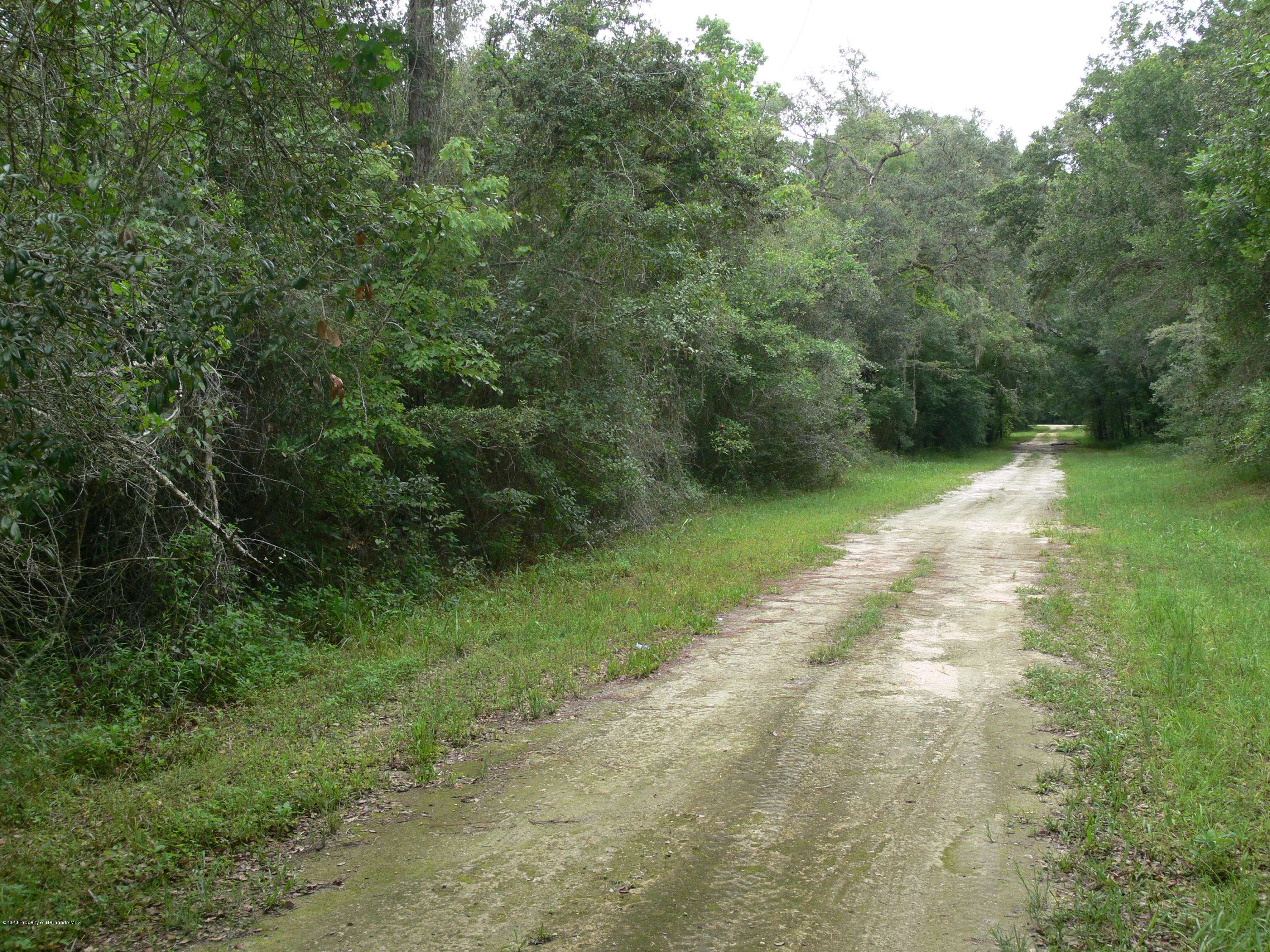 Webster, FL 33597,Lot 5 Sudan