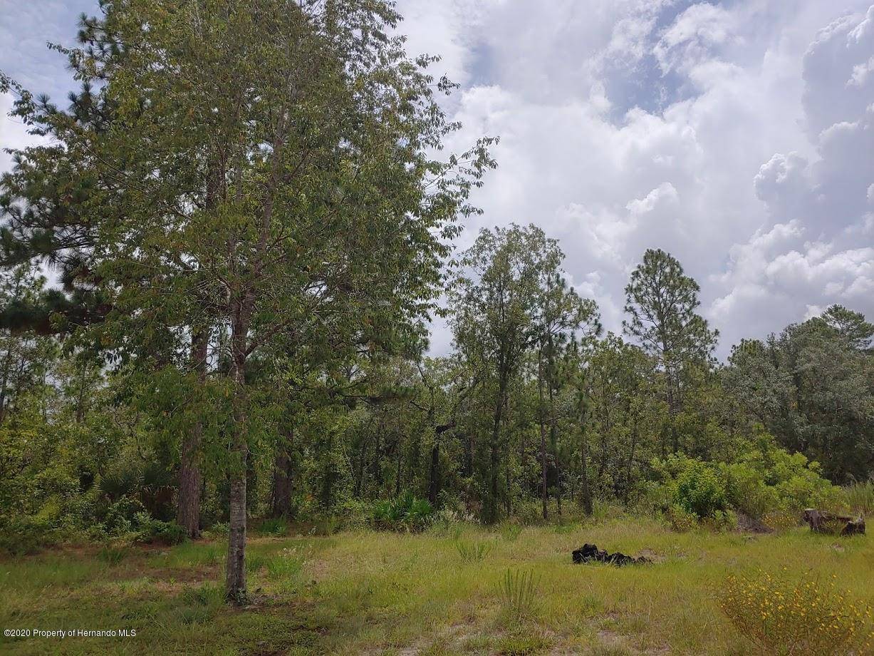 Weeki Wachee, FL 34614,13476 Flemington Road