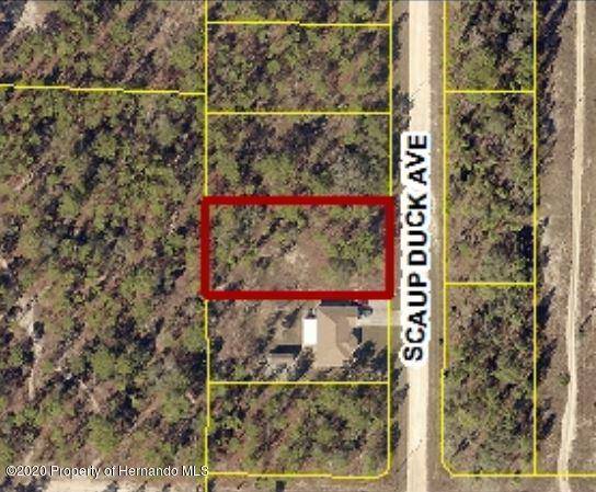 Weeki Wachee, FL 34614,0 Scaup Duck Avenue #Lot 10