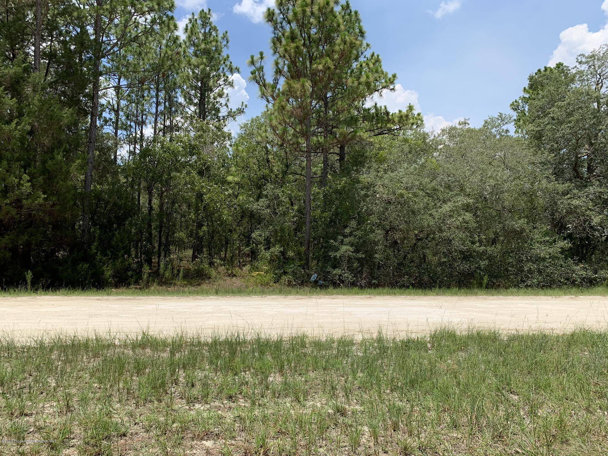 Weeki Wachee, FL 34614,00 Marsh Quail Road