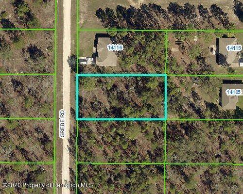 Weeki Wachee, FL 34614,14106 Grebe Road