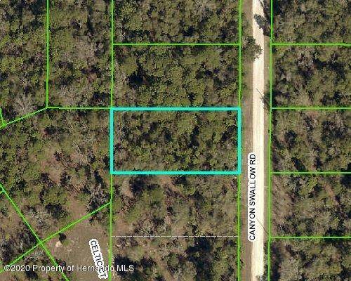 Weeki Wachee, FL 34614,00 Canyon Swallow Road