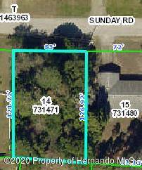 Spring Hill, FL 34608,0 Sunday Road