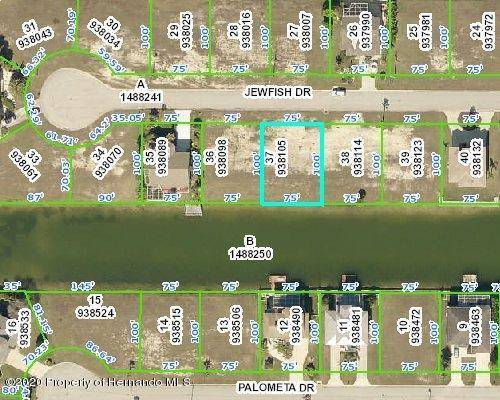 Hernando Beach, FL 34607,0 Jewfish Drive