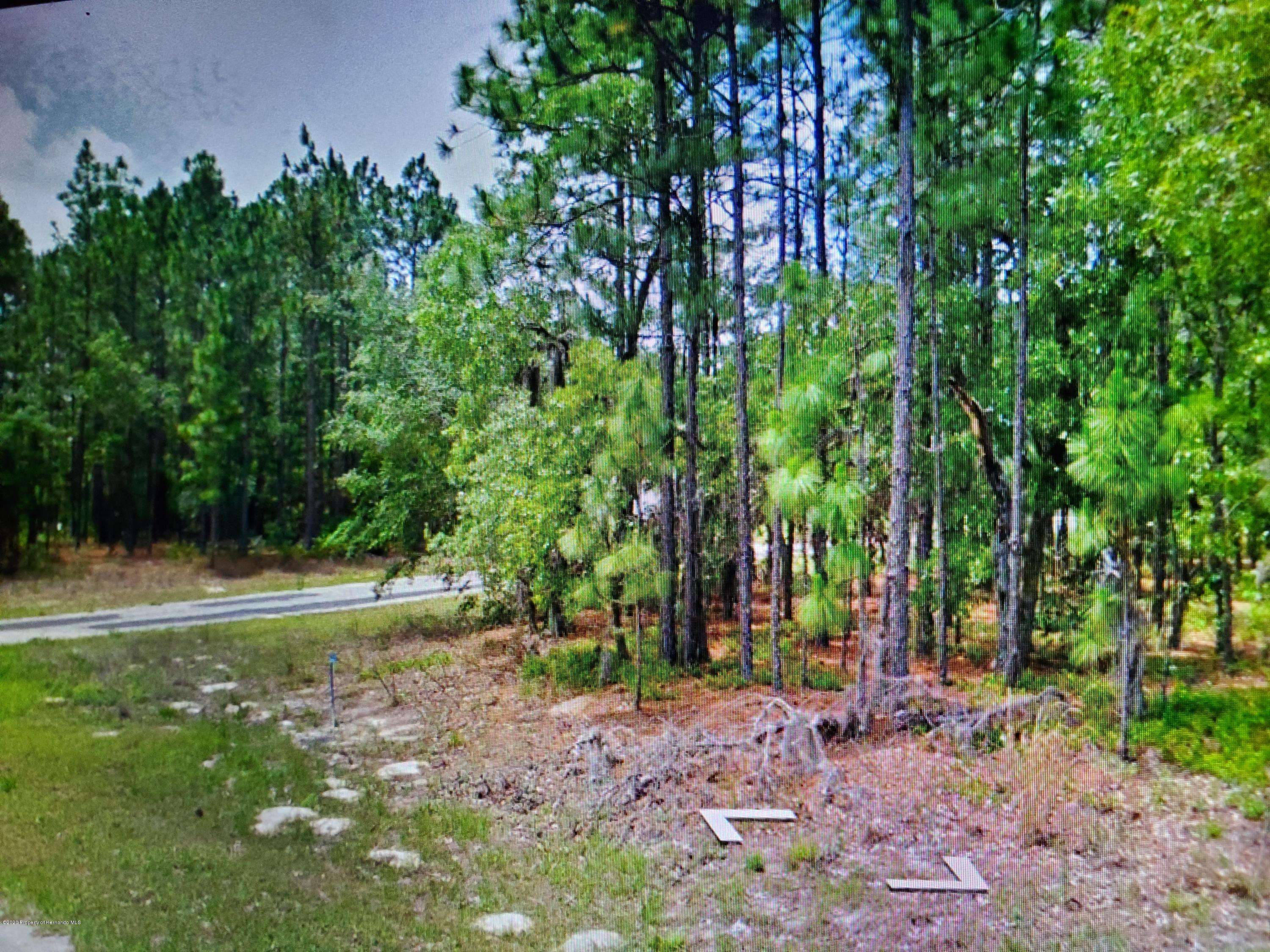 Citrus Springs, FL 34434,1350 W Kenmore Drive