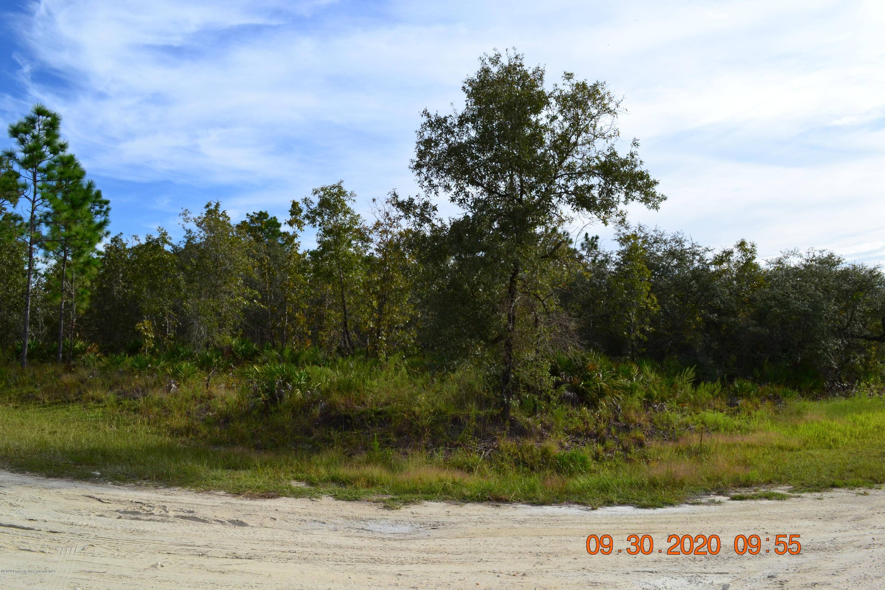 Weeki Wachee, FL 34614,0 Pake Road