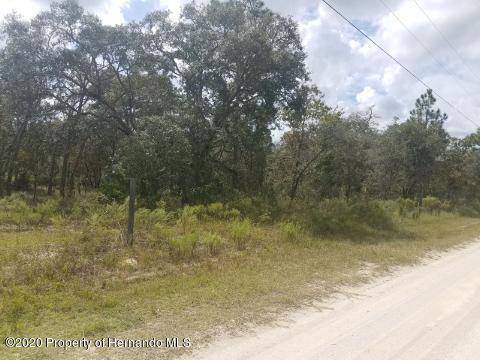 Weeki Wachee, FL 34614,0 Mahoning Avenue