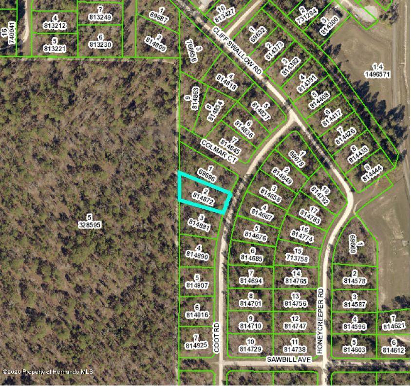 Weeki Wachee, FL 34614,15381 Coot Road