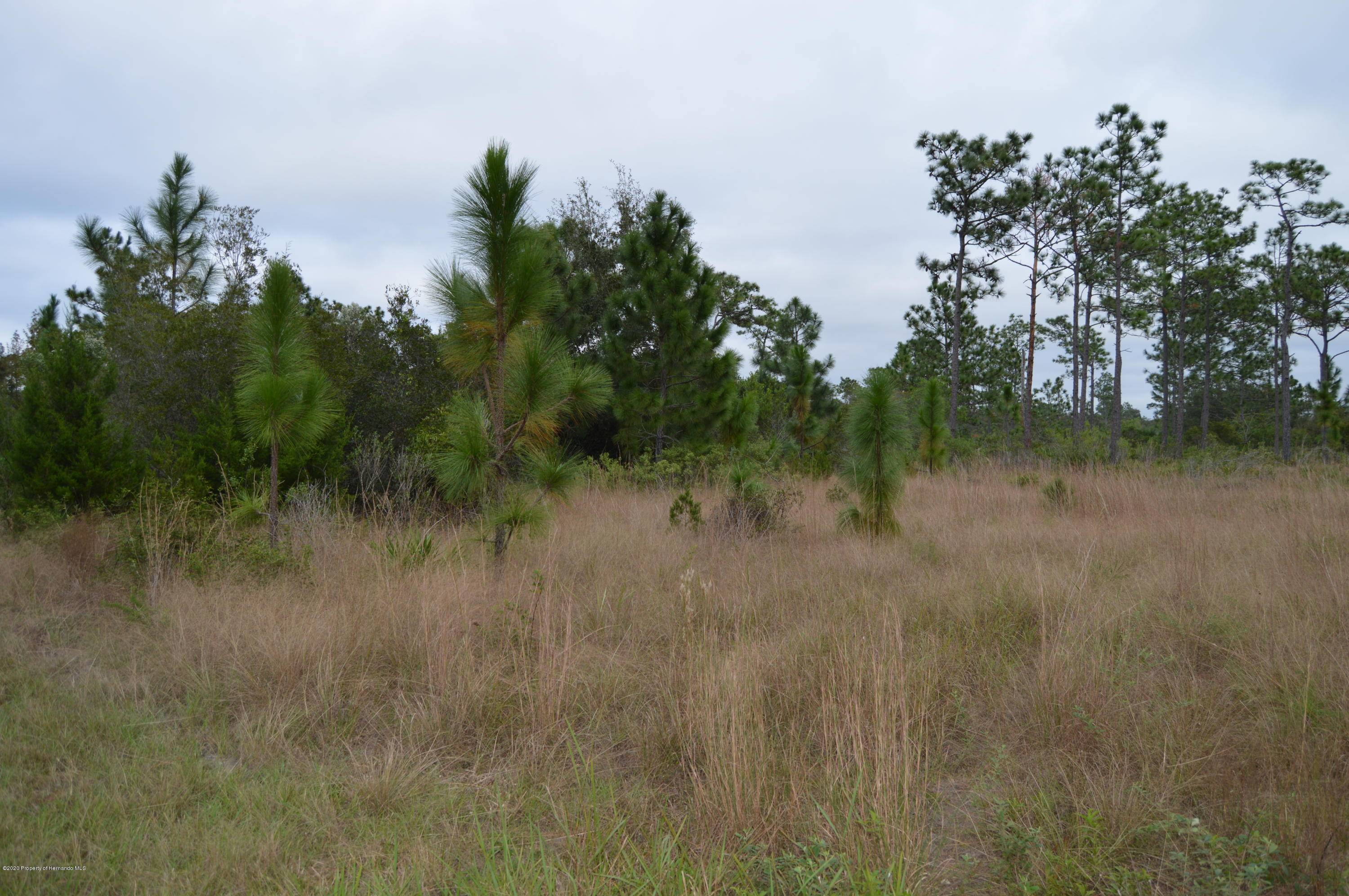 Weeki Wachee, FL 34614,Lot 7 Rydal Road