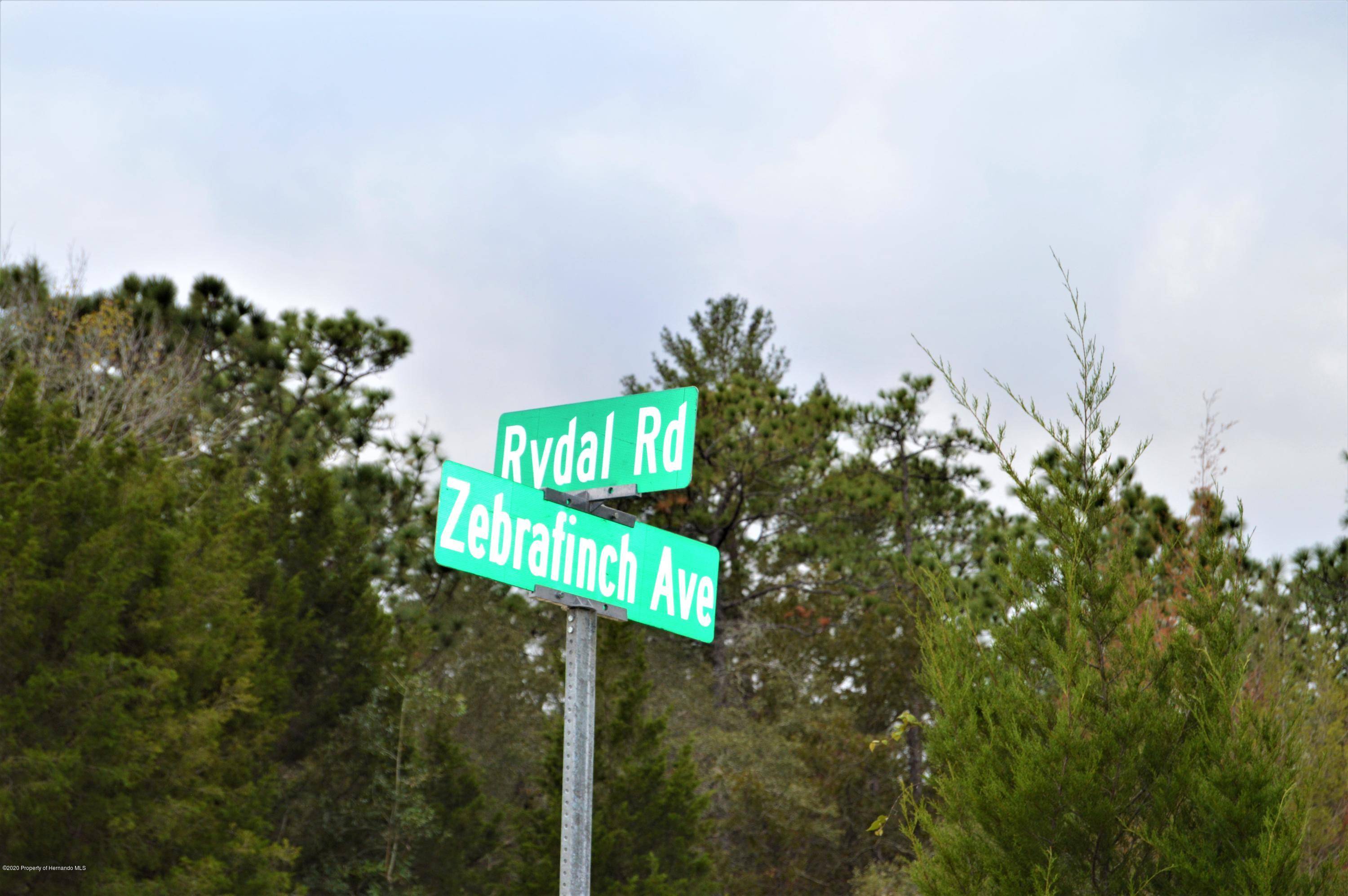 Weeki Wachee, FL 34614,Lot 7 Rydal Road