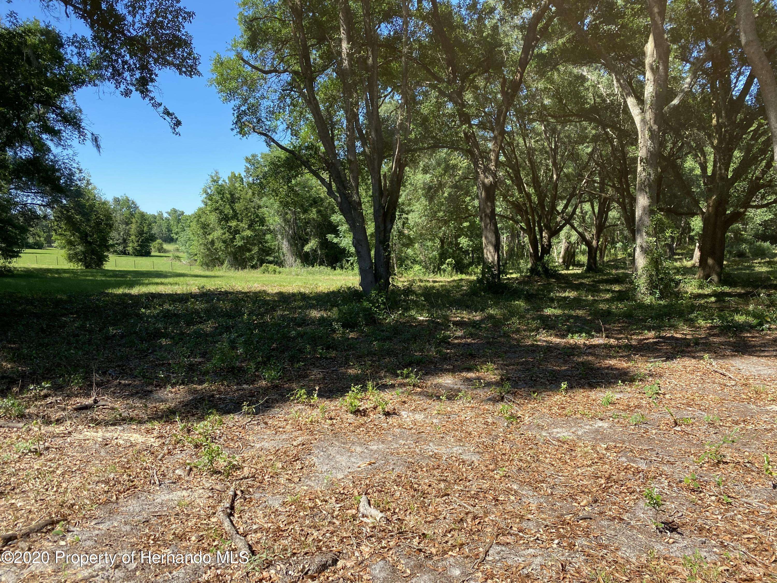 Brooksville, FL 34602,6 Lot Appalachian Drive