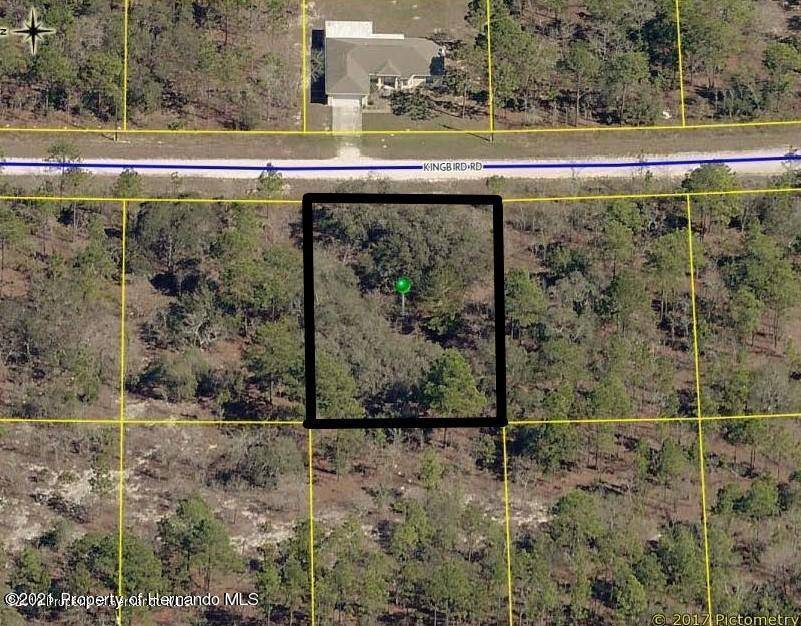 Weeki Wachee, FL 34614,00 Kingbird Road