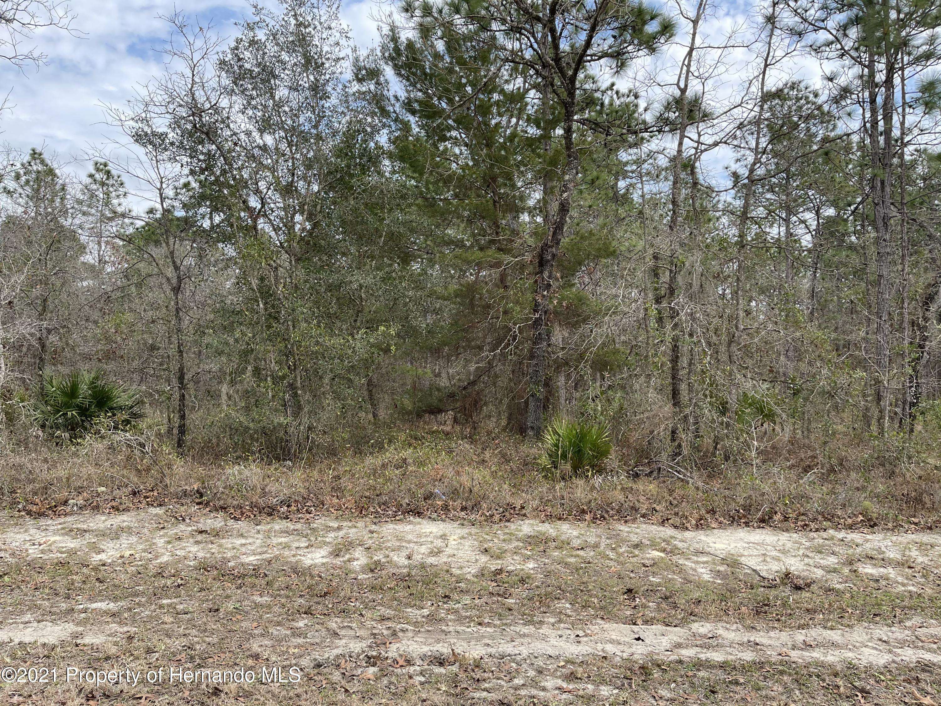 Weeki Wachee, FL 34614,0 Mairdale Road